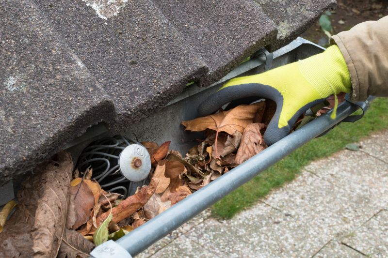 Clean and Maintained Gutters