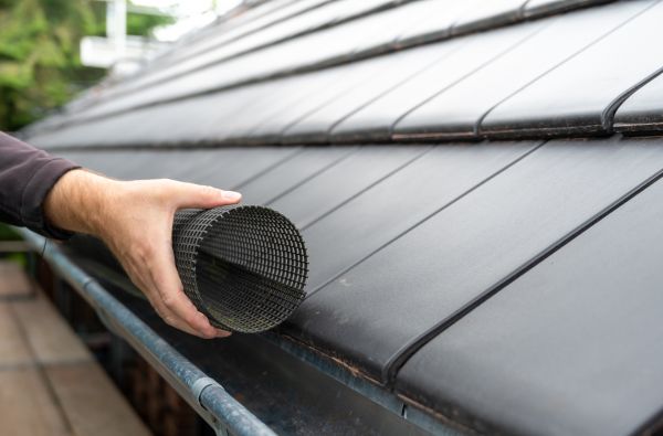 Gutter Mesh Installation in Brighton